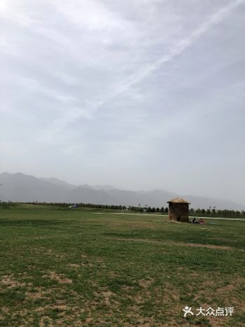 过年的时候唐村还要门票，最近免门票了但是梅花也全都谢