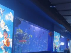 -重庆欢乐海底世界
