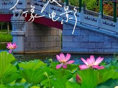 -西海子公园