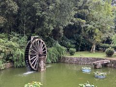 -景德镇古窑民俗博览区