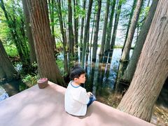 -东湖落雁景区