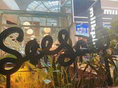-Seesaw Coffee(上海太阳宫K46店)
