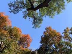 -北京西山国家森林公园