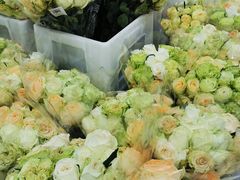 -山姆会员商店(杨桥西路店)
