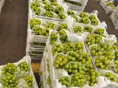 -西郊国际农产品交易中心