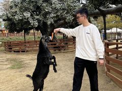-盈香心动乐园