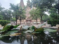 -北京石刻艺术博物馆(五塔寺)