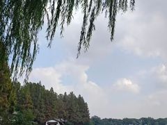 -杭州湖滨in77