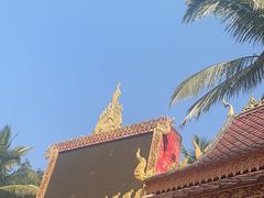-西双版纳傣族园