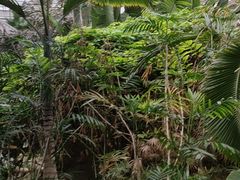 -龙达温泉生态城