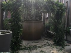 -北京饭店谭家菜