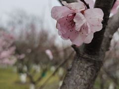 -狼山风景名胜区