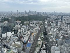 -涩谷区