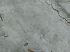 -湊湊火锅·茶憩(石家庄万象城店)