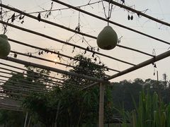 -李小龙乐园(顺德均安店)