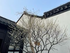 -南京市民俗博物馆(甘熙故居)