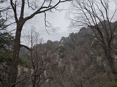 -王顺山国家森林公园