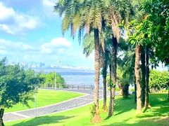 -深圳湾公园(南山区)