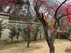 -无锡梅园公园