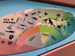 -陕西自然博物馆