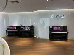 -雅马哈乐器专卖店(广州旗舰店)