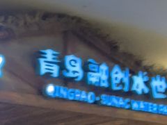 -青岛东方影都融创水世界