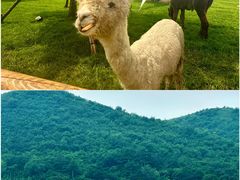 -沈阳海洋探索中心