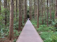 -同里国家湿地公园