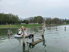 -观澜小洱海