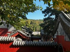 -泰山风景名胜区-普照寺