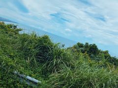 -海南铜鼓岭景区