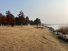 -苏州湾体育公园