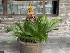 -山西饭店