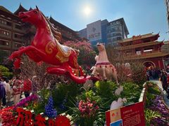 -越秀西湖花市(广州城市广场花卉店)