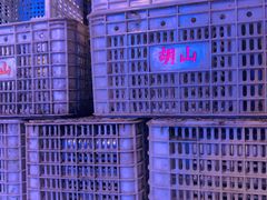 -菜园坝水果市场