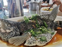 清蒸花斑-八仔大富楼·河鲜(西江店)