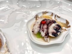 皮皮虾-誉珑轩