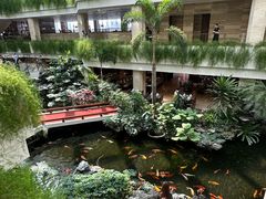 -白天鹅宾馆-宏图府餐厅