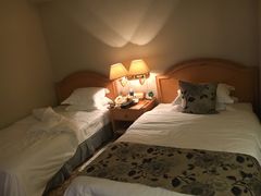 -南京维景国际大酒店(南京博物院店)