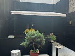 -觀芷隐轩