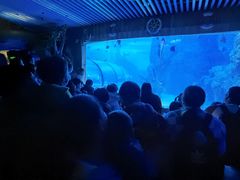 -左海海底世界