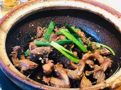 沙姜乳鸽-五邑人家(江门店)