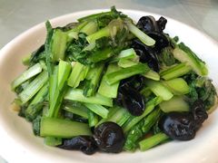 -陶然饺子城(奥体中路店)