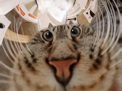 -汉堡王(北京三里屯购物中心)