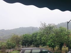 -听风阁农家私房菜茶楼(龙坞店)