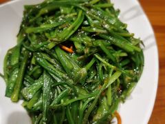 清炒水性杨花-老滇山寨•云南特色菜•地方菜•民族风情歌舞表演(金碧店)