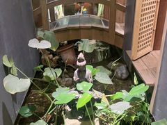 -邈墨茶馆(凤起路店)