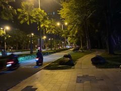 -南湾猴岛+椰田古寨一日游