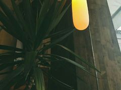 -知亘茶食