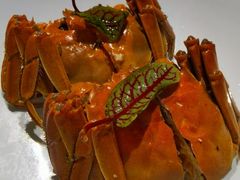 -颂福楼·南京菜(定淮门店)